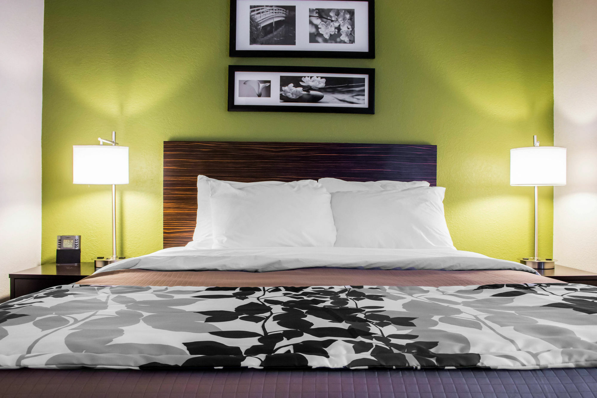 Surestay Plus By Best Western Mesa Superstition Springs Exterior photo