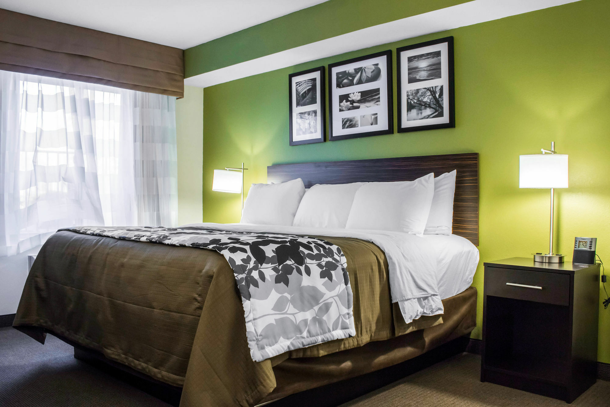 Surestay Plus By Best Western Mesa Superstition Springs Exterior photo
