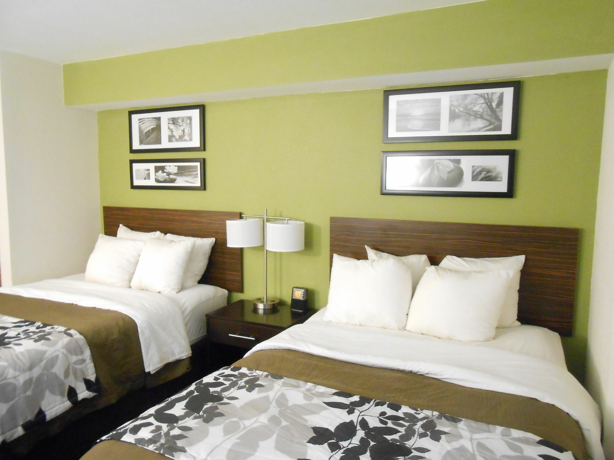 Surestay Plus By Best Western Mesa Superstition Springs Exterior photo